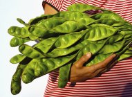 Woman holding Petai beans — Stock Photo