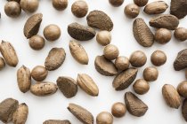 Различные сырые орехи — стоковое фото