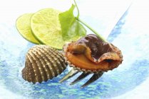 Свежие моллюски с ломтиками лайма на тарелке с вилкой — стоковое фото
