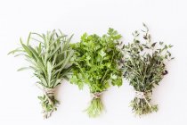 Bunches of fresh herbs — Stock Photo