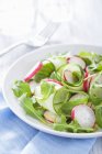 Cucumber salad with radishes and rocket  on white plate over towel — Stock Photo
