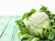 Fresh white Cauliflowers — Stock Photo