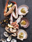 Arrangement of mussels and lobster — Stock Photo