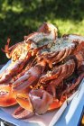 Closeup view of grilled halved lobsters in heap — Stock Photo