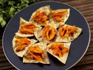 Nahaufnahme von Tortilla-Chips mit Hühnchen in Chipotle-Sauce — Stockfoto