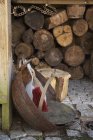 Tagsüber Blick auf eine Kehrschaufel und Pinsel in einer rostigen Schüssel auf Kopfsteinpflaster vor einem Holzschuppen — Stockfoto