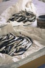 Fresh sardines in packing paper — Stock Photo