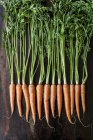 Linha de cenouras frescas — Fotografia de Stock