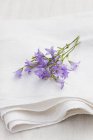 Vista close-up de flores Rampion em um pano de linho branco — Fotografia de Stock
