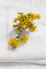 Elevated view of flowering Saint Johns Wort on a white linen cloth — Stock Photo