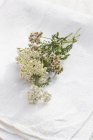 Vista elevada de flores de yarrow fresco em um pano de linho branco — Fotografia de Stock