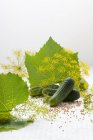 Cetriolini freschi con foglie di vite — Foto stock