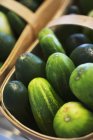 Cucumbers in wooden basket — Stock Photo