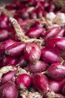 Red onions and garlic — Stock Photo