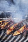 Fish on grill rack — Stock Photo