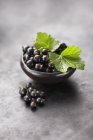 Fresh blackcurrants with leaves — Stock Photo