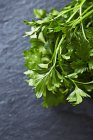 Fresh organic parsley — Stock Photo