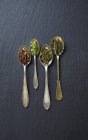 Vista dall'alto di quattro tipi di tè verde su cucchiai — Foto stock