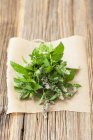 Bunch of fresh organic mint — Stock Photo
