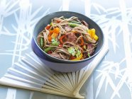 Soba noodles with beef and vegetables — Stock Photo