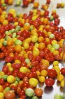 Tomates frescos maduros para conservação — Fotografia de Stock