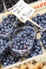 Blueberries in plastic punnets — Stock Photo