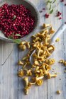 Chanterelle mushrooms and cranberries — Stock Photo