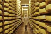 Alpine cheese in storage — Stock Photo