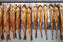 Vue rapprochée de poissons d'omble chevalier fumés pendus en rangée — Photo de stock
