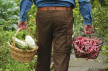 Un homme transportant deux paniers de légumes fraîchement récoltés dans le jardin — Photo de stock