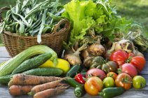 A harvest arrangement of garden vegetables on a wooden table — Stock Photo