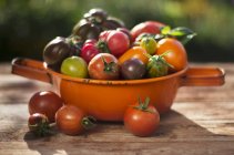Fresh picked colorful tomatoes — Stock Photo