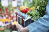 Ervas e verduras de um mercado em caixa em mãos — Fotografia de Stock