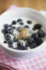 Blueberries with milk in bowl — Stock Photo