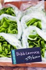Lettuce in plastic bags — Stock Photo