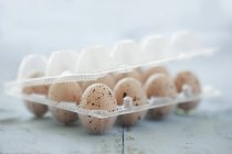 Huevos en caja de huevo de plástico - foto de stock