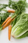 Zanahorias frescas con tallos y ensalada - foto de stock