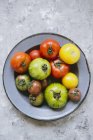 Спелые разноцветные помидоры — стоковое фото