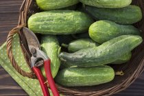 Harvested cucumbers on basket — Stock Photo