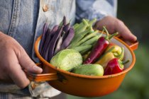Ein Mann hält ein Sieb mit frisch geerntetem Gemüse aus einem Garten — Stockfoto