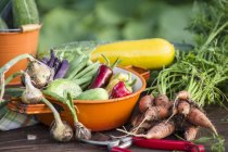 Early summer vegetable harvest in a garden outdoors — Stock Photo