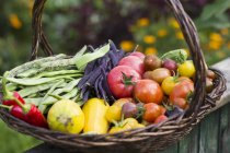 A large harvesting basket in a vegetable garden outdoors during daytime — Stock Photo