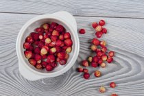 Bowl of fresh wild strawberries — Stock Photo