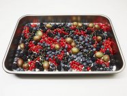 Various fresh berries — Stock Photo