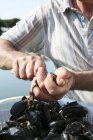 Closeup cropped view of person opening mussel — Stock Photo