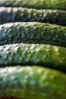 Row of fresh gherkins for pickling — Stock Photo
