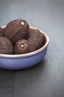 Avocados in blue bowl — Stock Photo