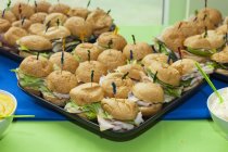 Сэндвичи с индейкой и салатом — стоковое фото