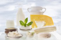 Different dairy products — Stock Photo