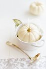 Mini white pumpkin in soup bowl — Stock Photo